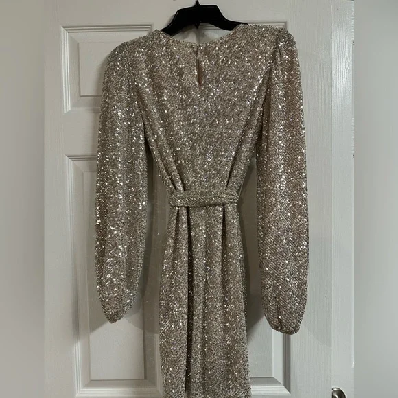 NEW Jenny Yoo New Year’s Eve Angie Dress in Silver Nude New Year’s Eve Dress - Picture 4 of 11